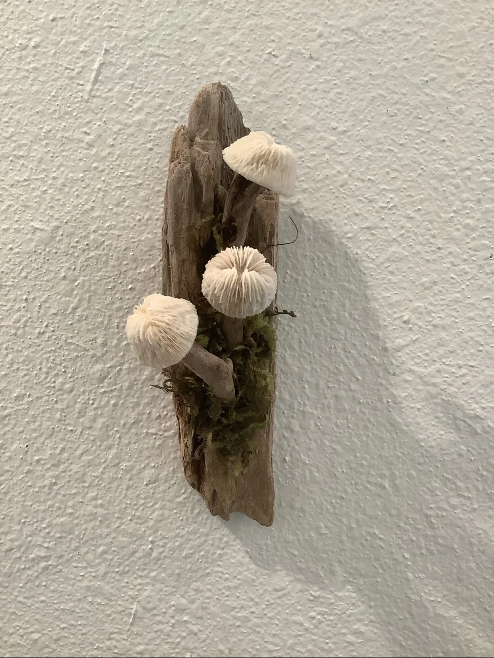 Driftwood Art, Driftwood and Coral Mushrooms, Mushroom Art, Coastal Art